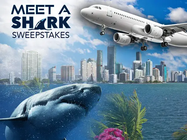 The OCEARCH Meet a Shark Sweepstakes